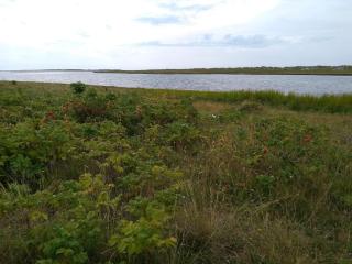 6 person holiday home in Læsø-By Traum - 6