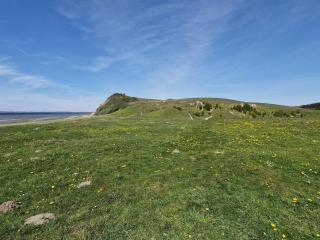 6 person holiday home in Højslev-By Traum - 5