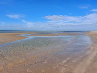 6 person holiday home in Blåvand - 1