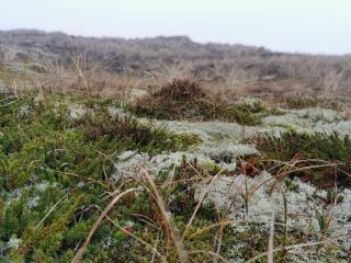 6 person holiday home in Hemmet-By Traum - 2