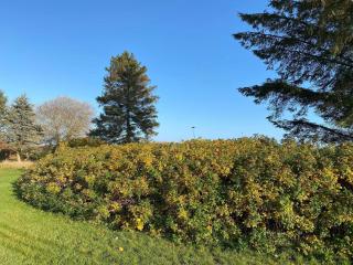 6 person holiday home in Hadsund-By Traum - 1