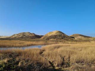 Cozy Beach House in Kjul - By Traum Ferienwohnungen - 7