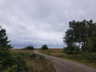 8 person holiday home in Hadsund-By Traum - Odde - 2