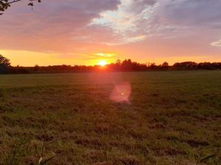 10 person holiday home in Væggerløse - 7