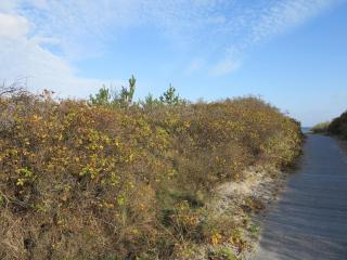 6 person holiday home in Ålbæk-By Traum - 3
