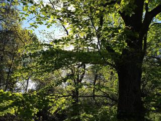 30 person holiday home in Ebeltoft-By Traum - 8