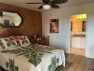 Island Surf Studio No Need for Car - 9