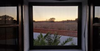 Monte Velho do Pinheiro - 5