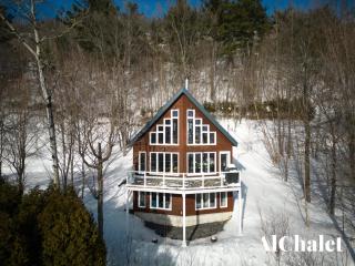 Älpha-M - magnifique vue sur le fleuve - 5