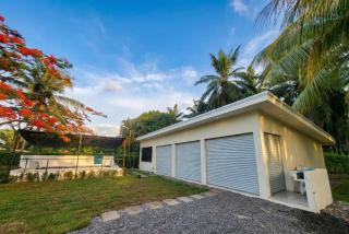 Pura Vida - Villa Elenita - 6