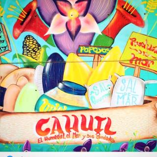 Alta Vista de Cahuil - 7