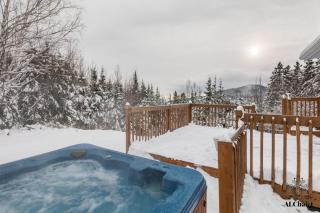 La Petite Ourse - boisé avec spa - 8