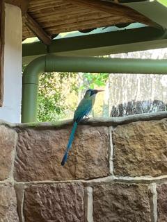 Finca Alegría cada lugar guarda un susurro de luz - 4