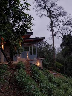 Rainforest cabin - 7