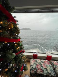 Dream House -Water Lily - 4