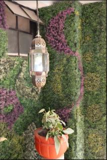 J Alejandro - Centro Histórico Guadalajara - 6