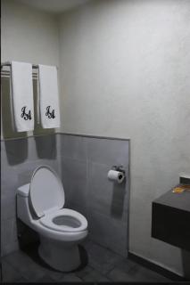 J Alejandro - Centro Histórico Guadalajara - 2