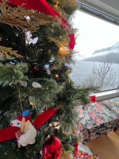 Dream House -Water Lily - 7