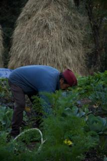 Basanti Rawat Homestay - 7