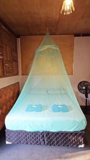 Plancton House Atins - 9