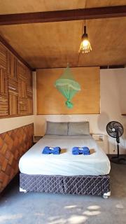 Plancton House Atins - 0