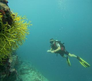 Sabba Beach Suite , Fodhdhoo - Maldives - 3