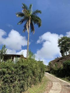 El Regalo Finca Hostel - 8