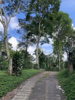 El Regalo Finca Hostel - 9