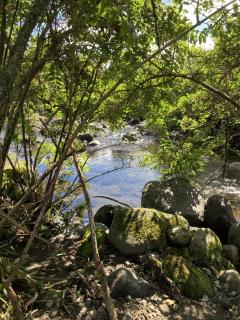 Klipstroom Farmstay Bed and Breakfast - Explore or relax! - 5