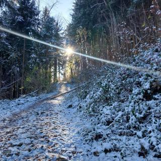 Ferienwohnung Beim Straßer - 2
