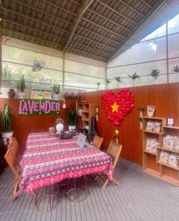 Lavender Homestay Măng Đen - 6
