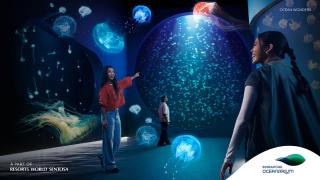 The Laurus, a Luxury Collection Resort, Singapore - 3