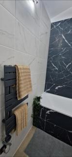 2-room apartment with breathtaking views of Lake Geneva - 6