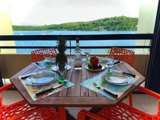 T2 lumineux avec vue sur mer et piscine - 9