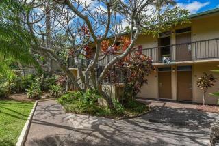 Napili Shores I270 · NS I270 OceanFront Studio w Ocean Views Poo - 8