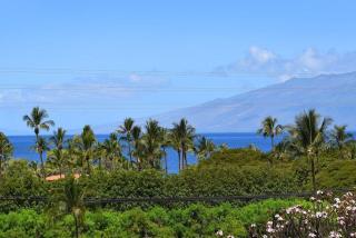 International Colony Club 37 · ICC 37 Remodeled Hawaiian Cottage - 6