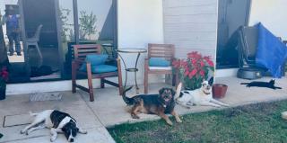 Casa amigos Comala - 5