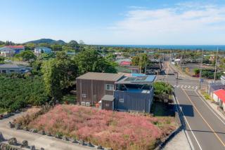 Lalala the Pretty Hyupjae Pension - Jeju - 4