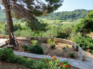 Apartmani Green Oasis - 4