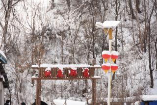 Jiayi Guesthouse - 6