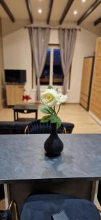 Chic & Design Studio for 3 people - 5