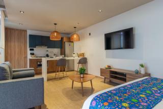 Luxury apartment in Narvarte 304 - 4