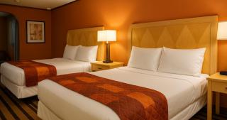 Gated 2 Double Beds Studio with Full Kitchen 102 - 0