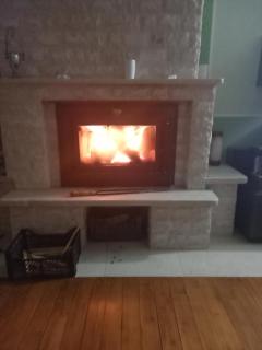 Villa Drinski biser sa bazenom - 9