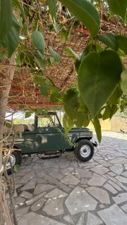 منتجع سفاري ديور - 3