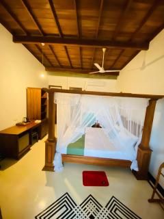 Lavender mirissa - 6