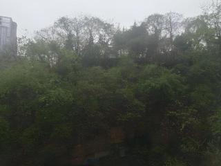 City Comfort Inn Wuhan Pangxiejia Metro Station - 4