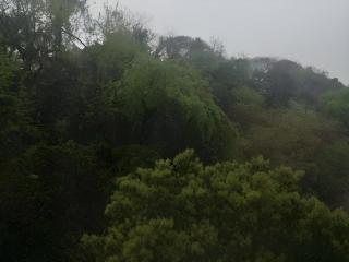 City Comfort Inn Wuhan Pangxiejia Metro Station - 2