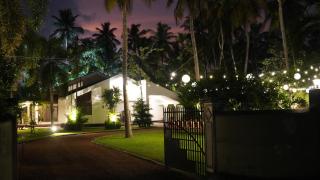 Dark Green Resort - 8