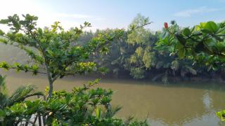 InnerZen Riverside homestay Ben Tre 1 bedroom for 1-2 guests, 2 bedrooms for 3-4 guests - 3